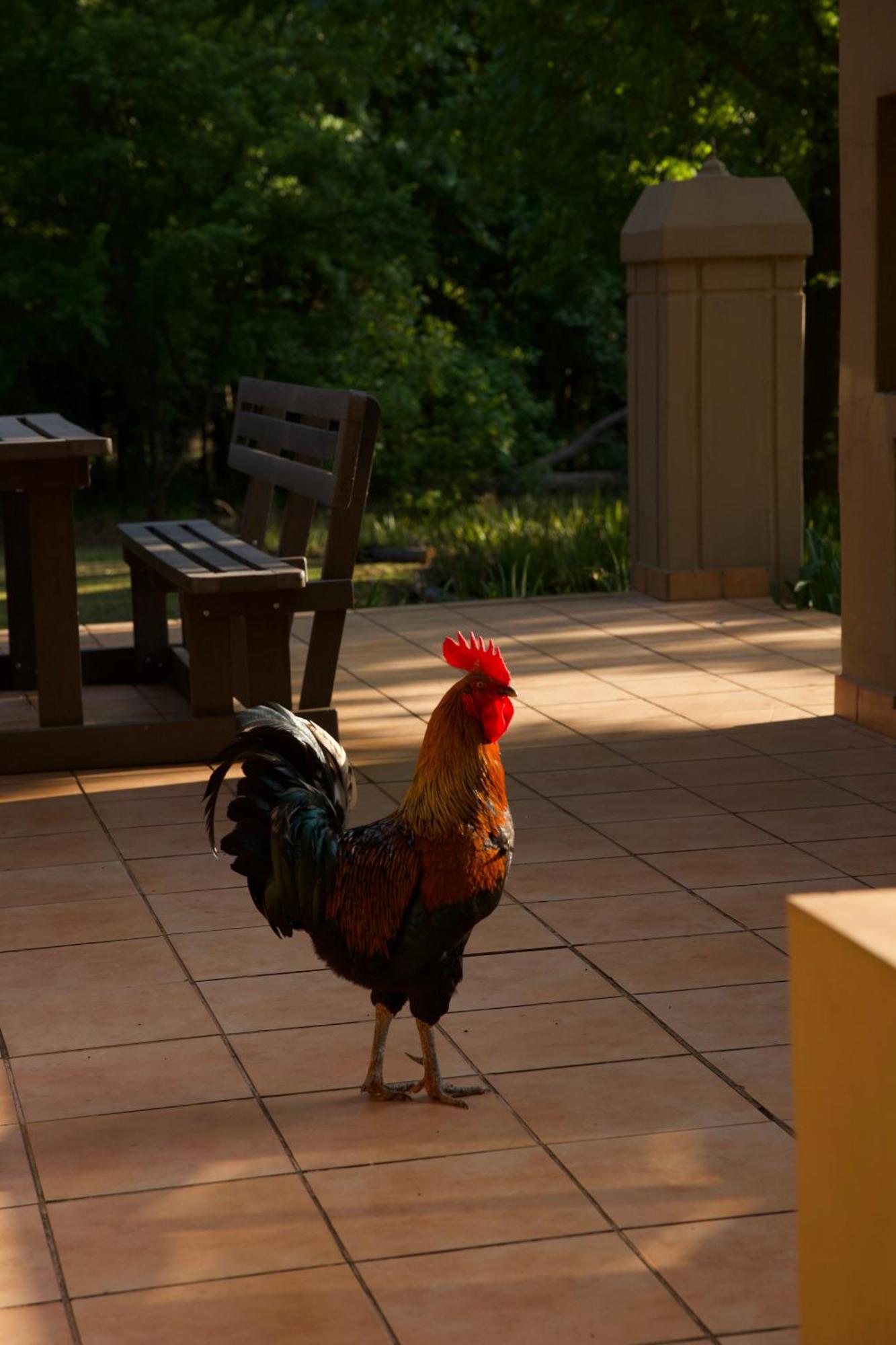 Berghaven Cottages ウィンタートン エクステリア 写真